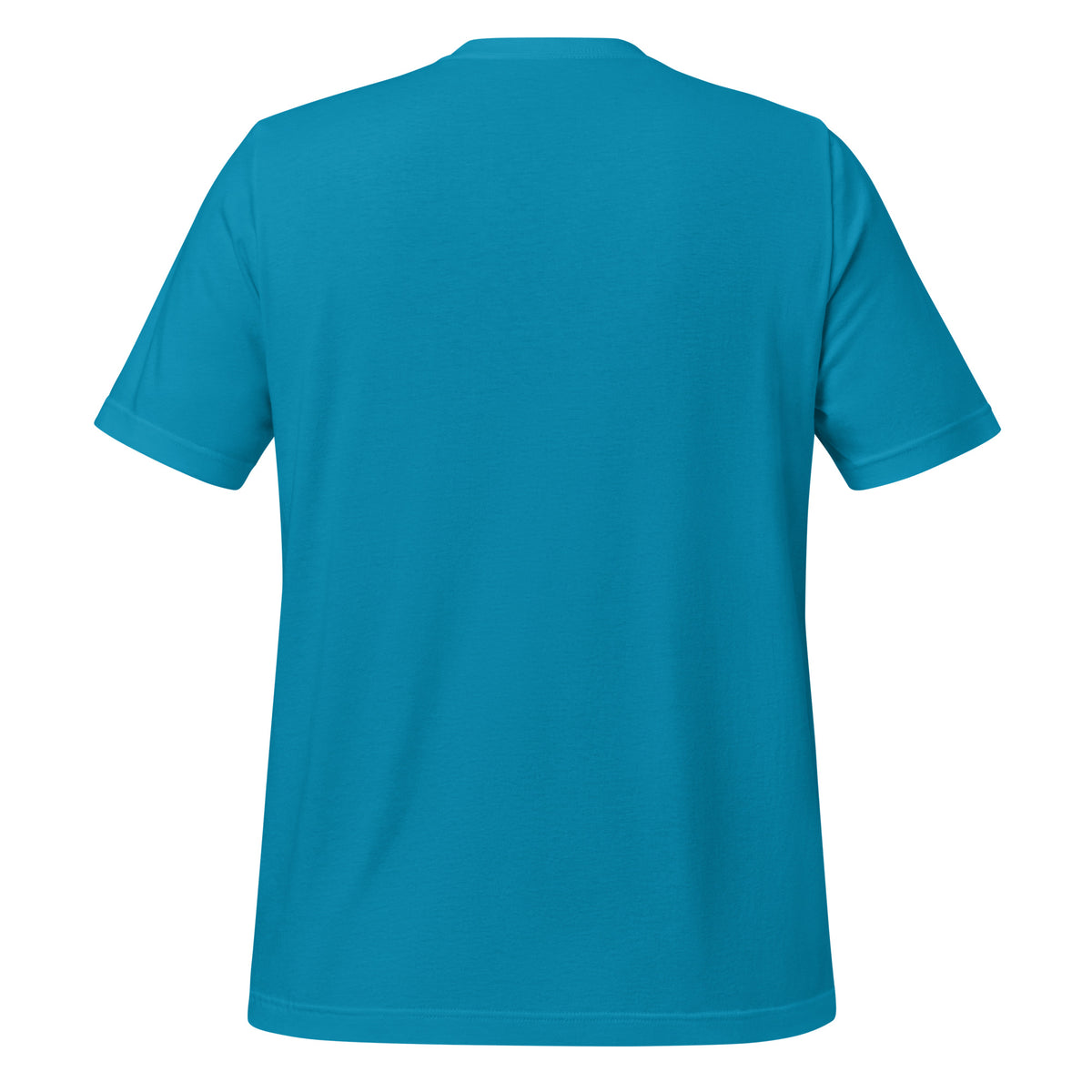Salt and Light faith script graphic on aqua men's t-shirt - back view