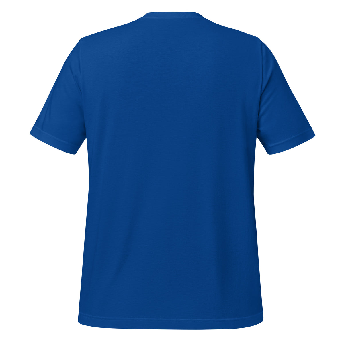 Salt and Light faith script graphic on royal blue men's t-shirt - back view